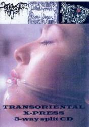 Desecrator (FRA) : Transoriental X-Press